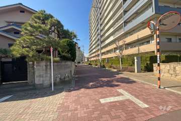 敷地南側の前面道路（東側から）