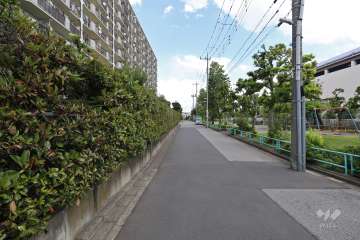 敷地南側の前面道路（西側から）