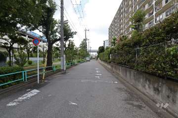敷地南側の前面道路（東側から）