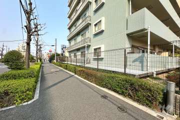 敷地の西側前面道路（南側から）