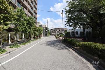 敷地北側の前面道路　