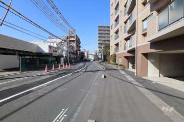 敷地の西側前面道路（南側から）