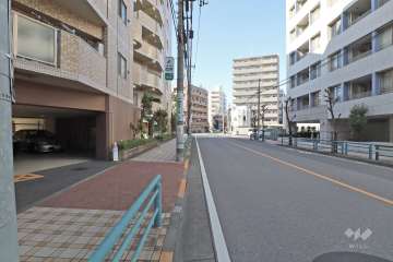 敷地の東側前面道路（南側から）