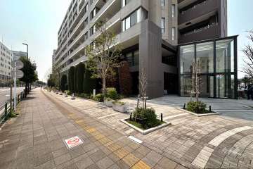 敷地東側の前面道路（北側から）