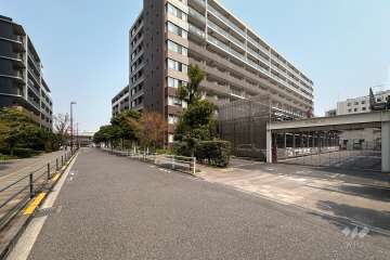 敷地西側の前面道路（南側から）