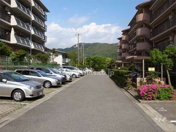 敷地内駐車場（平面式）