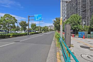 敷地西側の前面道路（南側から）。西側には『新田さくら公園』の緑が広がっています。