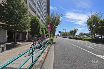 敷地西側の前面道路（北側から）。隅田川に架かる『新豊橋』が見えます。