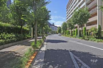 敷地北側の前面道路（東側から）