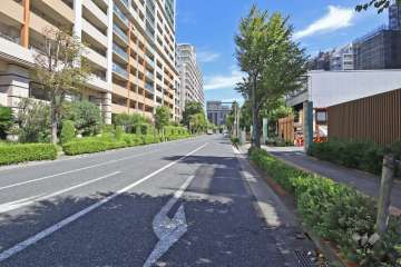 敷地北側の前面道路（西側から）