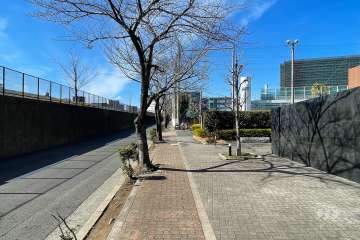 敷地南側の前面道路（東側から）