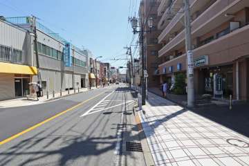 敷地東側の前面道路（北側から）