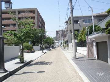 西側の前面道路。街路樹のきれいな通りです。
