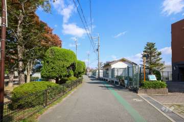 敷地西側の前面道路（南側から）