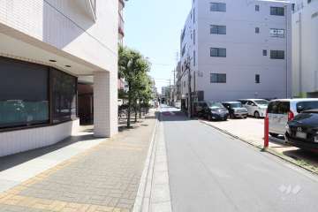 敷地の西側道路（北側から）