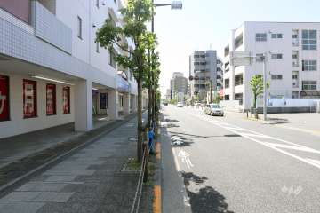 敷地の北側道路（東側から）