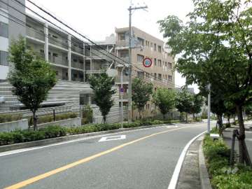 敷地西側の前面道路。街路樹のきれいなバス通りです。