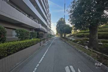 敷地西側の前面道路（北側から）