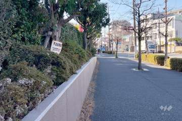 敷地北側の前面道路（東側から）