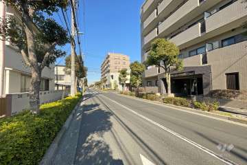 敷地西側の前面道路（南側から）