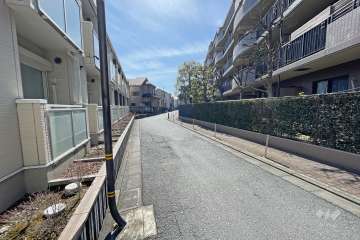 敷地東側の前面道路（北側から）