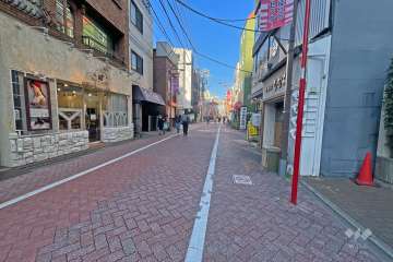敷地西側前面道路（北側から）