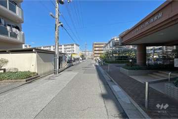 敷地北西側の前面道路（南西側から）