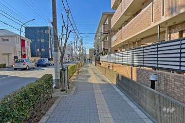 敷地の南側前面道路は環七北通りです（東側から）。