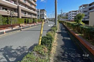 敷地南側の前面道路（西側から）