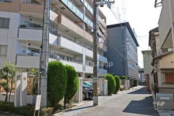 敷地南側の前面道路