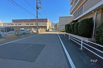 敷地の北側前面道路（西側から）