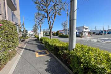 敷地東側の前面道路（南側から）