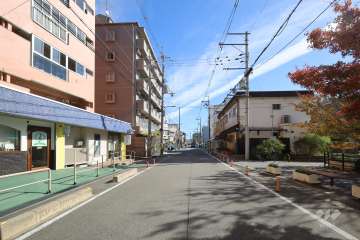 敷地南側の前面道路（西側から）
