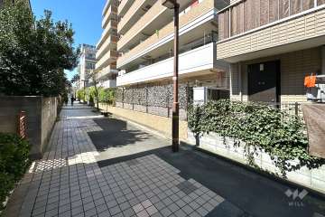 敷地の南西側前面道路（南東側から）