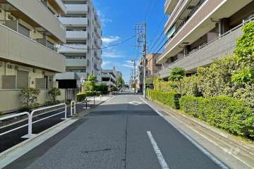 敷地の西側前面道路（南側から）