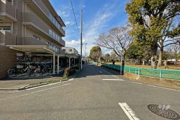 敷地の東側道路（南側から）