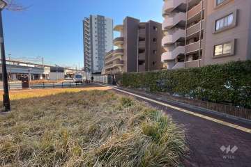 敷地北側の前面道路（西側から）