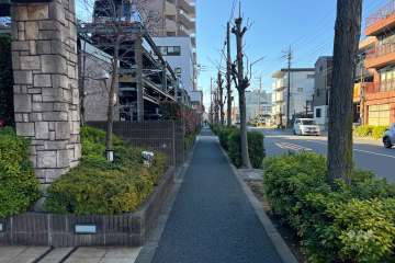 敷地北側の前面道路