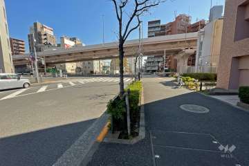 敷地北側の前面道路（西側から）