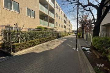 敷地西側の前面道路（北側から）