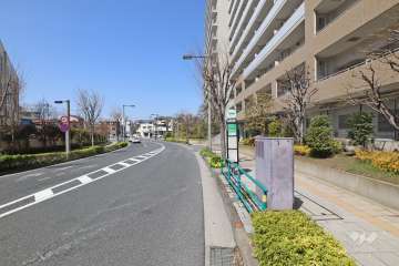 敷地南西側の前面道路（南東側から）