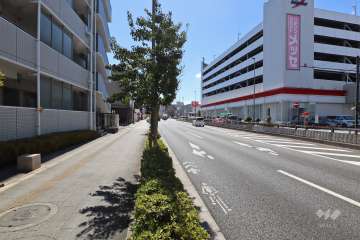 敷地西側の前面道路