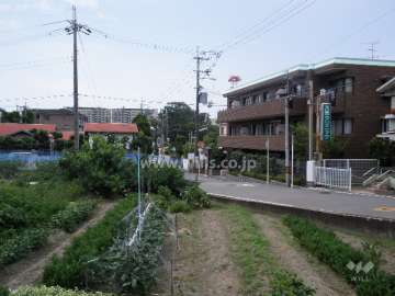 周辺は畑が広がり、緑豊かです。