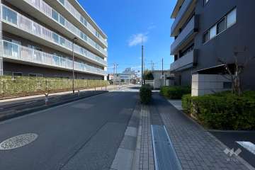 敷地の南側前面道路（東側から）