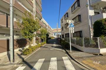 敷地南側の前面道路（西側から）