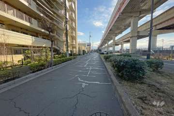 敷地西側の前面道路（北側から）
