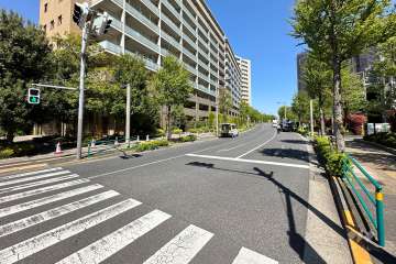 敷地の南側前面道路（西側から）