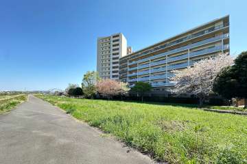 敷地の北側前面道路（西側から）