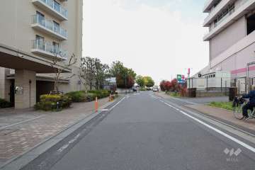 敷地東側の前面道路（南側から）