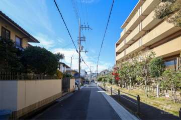敷地南側の前面道路（東側より）